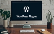 WordPress Plugins - recommendations.